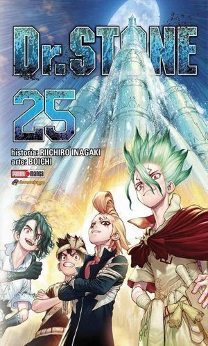 DR STONE 25