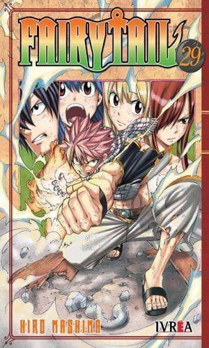 FAIRY TAIL 29