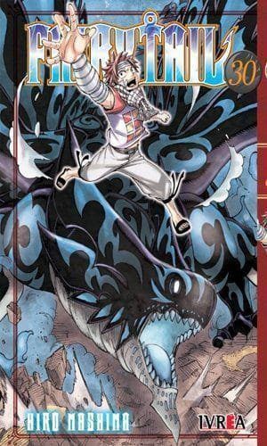 FAIRY TAIL 30