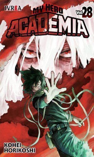 MY HERO ACADEMIA 28