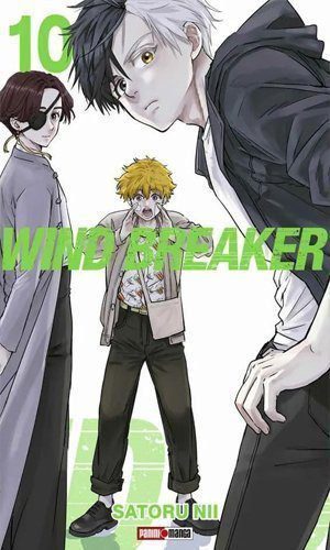 WIND BREAKER 10